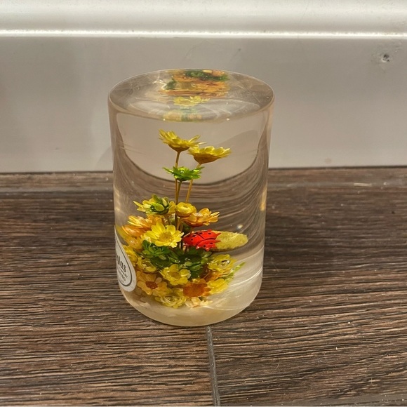 Vintage Daisyglas Company 50s/60s MCM Lucite/Acrylic Floral/Ladybug Paperweight - Picture 1 of 8